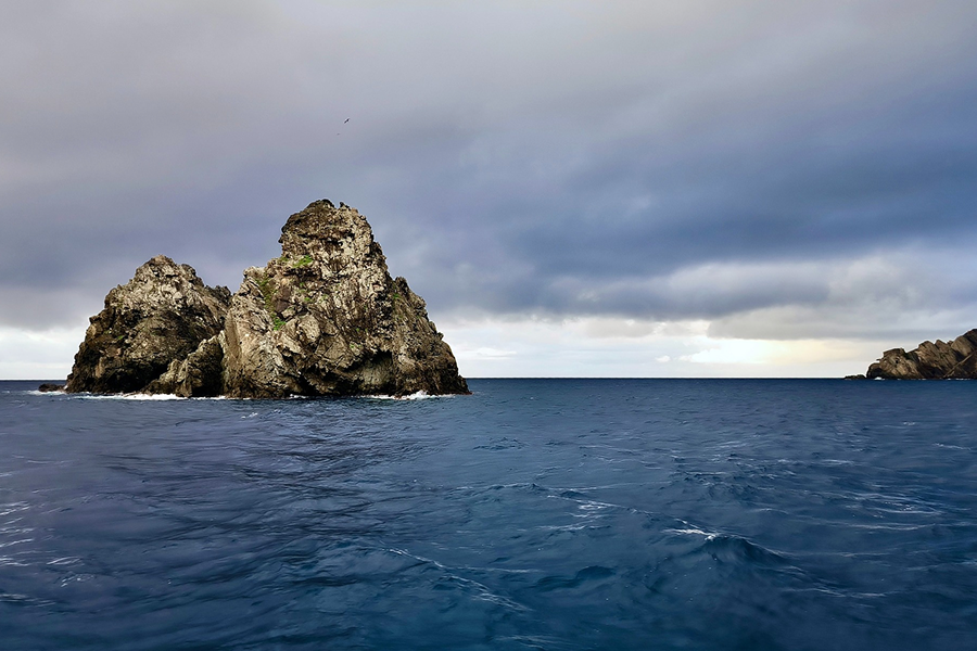 Fare Moana - Weekend Saint Mandrier