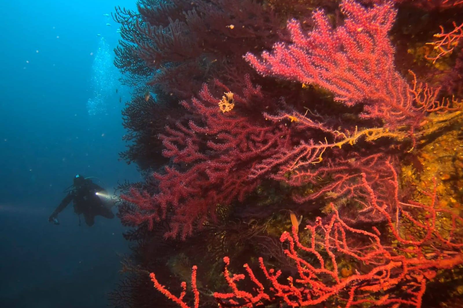 Week-end Saint Madrier - Fare Moana