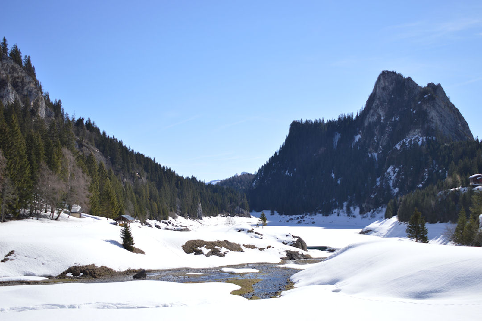 Week-end Taney - Fare Moana