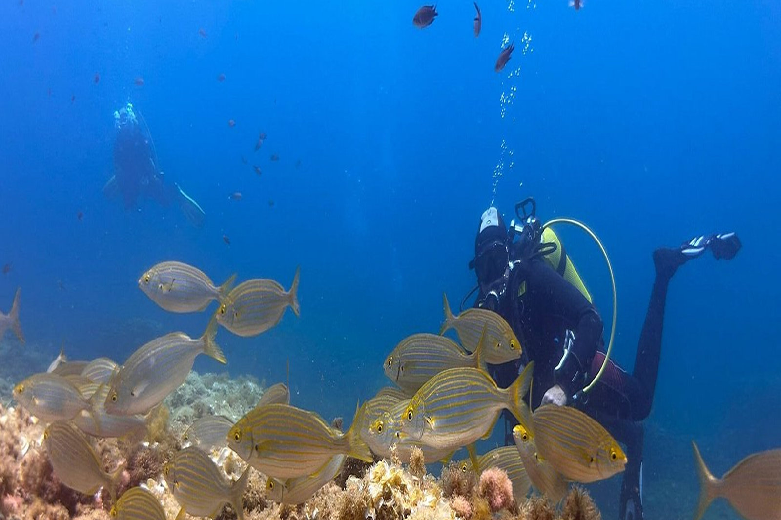 Week-end Saint Madrier - Fare Moana