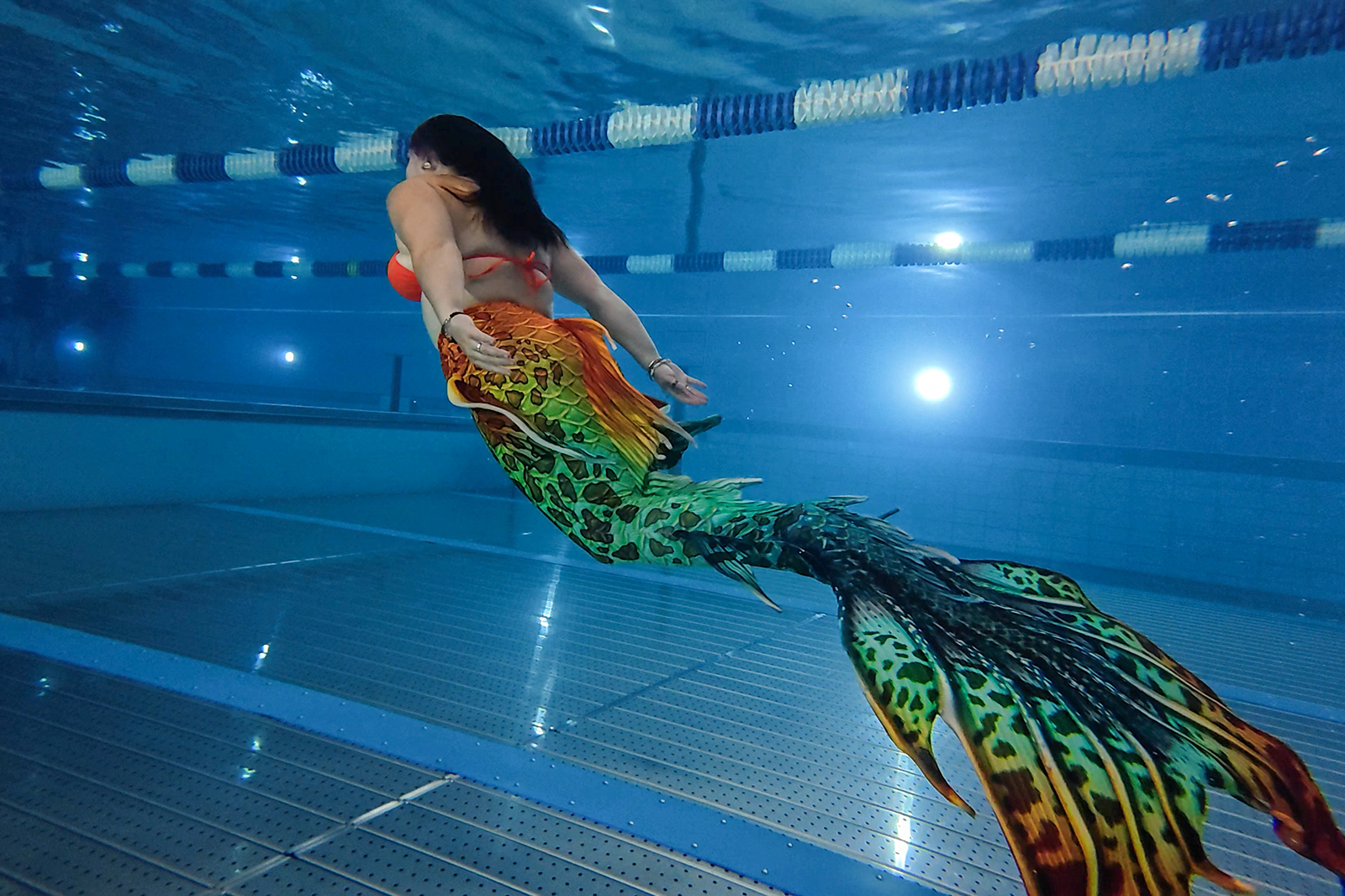 Padi Women's Day