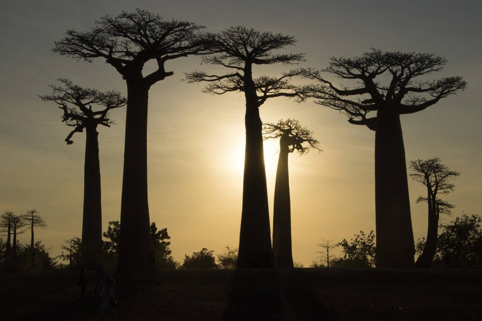 Safari plongée - Madagascar