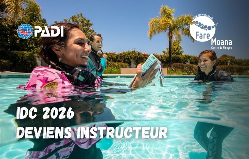 IDC 2026 - Fare Moana