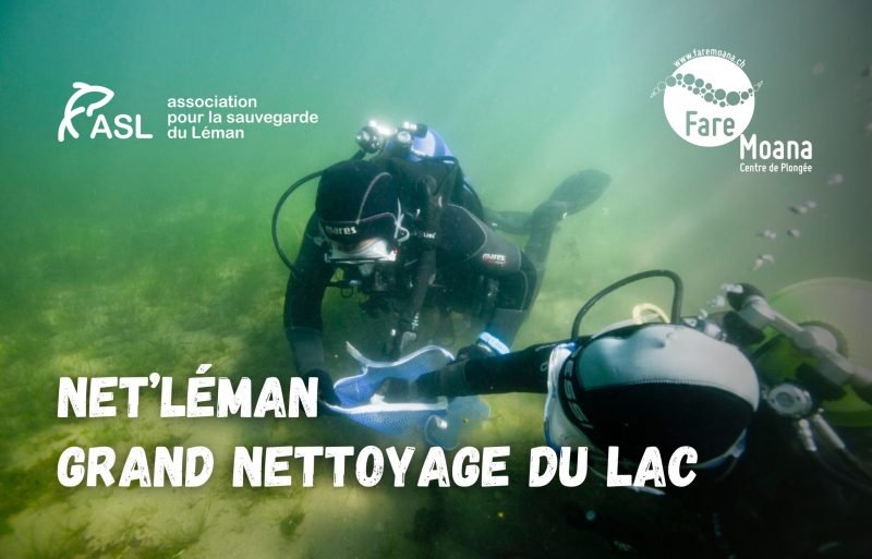 Nettoyage du lac - Fare Moana