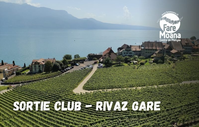 Rivaz