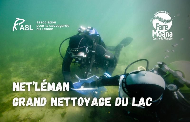 Net leman 2028